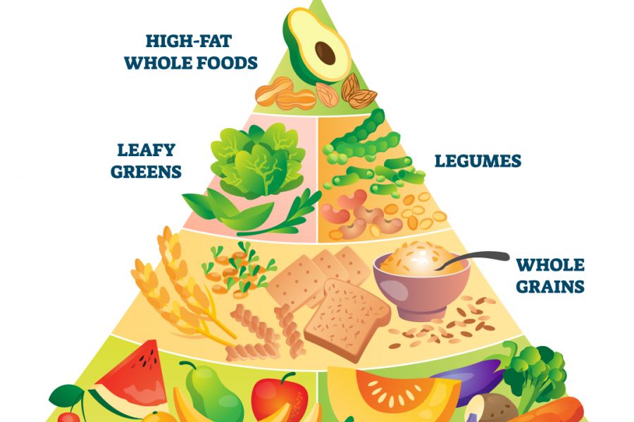 Vegan food pyramid diagram.